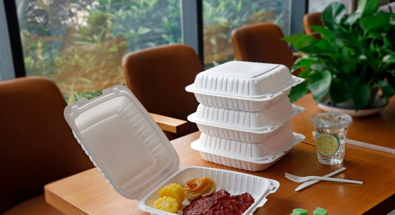 ╬ó╨┼═╝╞¼_20240815170439 ╬ó╨┼═╝╞¼_20240815170439