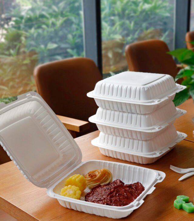 ╬ó╨┼═╝╞¼_20240815170439